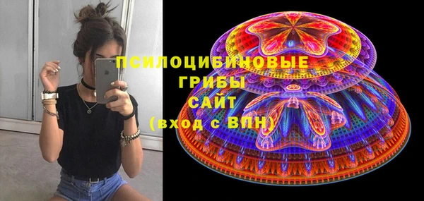 МДПВ Армянск