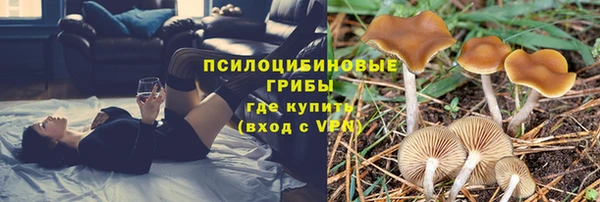 2c-b Арсеньев