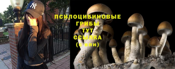 МДПВ Армянск